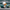 Philadelphia Eagles collectible duck, right-facing side view