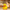 Swiss Cheese Duck - Front View | Zero Ducks Given
