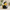 Dapper Groom Duck camera-facing three-quarter view on a wedding-themed background
