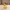 Candy Corn Witch Duck, camera-facing three-quarter view