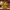 Koopa Troopa Duck right side view