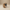 Boxer Duck - Camera-Facing View | Zero Ducks Given