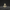 Top Hat Skeleton Duck - Camera-Facing View | Zero Ducks Given