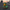 Navy Flight Deck Duck - Camera-Facing View | Zero Ducks Given