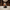 The Quackfather Duck camera-facing three-quarter view