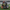 Atlanta Falcons Duck camera-facing three-quarter view