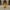 Holy Hand Grenade Duck back view