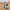 Road Runner Duck camera-facing view in a desert setting