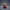 Zapp Brannigan-Inspired Duck camera facing view
