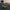 Navy Flight Deck Duck - Right Side View | Zero Ducks Given