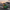 Navy Flight Deck Duck - Left Side View | Zero Ducks Given