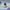 Leela-inspired duck collectible back view