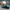 Philadelphia Eagles collectible duck, left-facing side view
