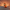 Fry-inspired duck camera-facing view