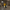 Han Solo Duck camera-facing view