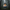 Jacob Black-Inspired Duck - Camera-Facing View | Zero Ducks Given