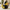 Dapper Groom Duck right-facing side profile on a wedding-themed background