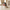 Brunette Bride Duck camera-facing three-quarter view