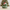 Christmas Grinch-inspired duck, right-facing side view