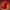 Flash Duck right side view