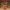 Koopa Troopa Duck front facing view