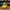 Minion Duck Two Eyed right side view