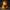 Mimic Duck front view