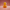 Cancer Awareness Duck - Back View | Zero Ducks Given