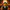 Vincent Vega Duck front view