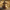 Cute Scarecrow Duck, camera-facing three-quarter view with harvest background