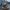 IT Support Duck camera-facing three-quarter view