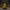 Toy Nightmare Duck - Front View | Zero Ducks Given