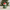 Christmas Grinch-inspired duck, back view