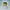 Front-facing view of Doctor Duck with a clean medical background