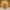 Dolly Parton-Inspired Duck - Camera-Facing View | Zero Ducks Given