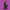 Darth Duck - Right Side View | Zero Ducks Given