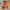 Ernie-inspired collectible duck front-facing view