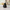 Plague Doctor Duck camera-facing three-quarter view