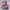 Camera-facing view of Embarrassment-inspired duck in a purple hoodie