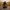 Evil Scarecrow Duck camera-facing three-quarter view