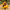 Cowardly Lion-Inspired Duck, left-facing side profile
