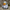 Knight Duck camera-facing three-quarter view