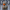 Cyberman-inspired duck, camera-facing view