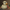 Oogie Boogie Duck collectible, camera-facing view