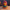 Super Saiyan God V1 collectible duck, front view