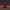 Knuckles Duck - Duckland Edition back-facing view