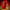 Flash Duck camera-facing three-quarter view