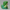 Disgust-Inspired Duck figurine right side profile