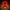 Flash Duck front view