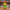 Koopa Troopa Duck back view